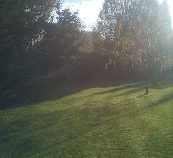 Tony's Gardening and Maintenance - Gardening Projects