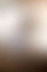 Golden Hour Sydney Harbour Family Photoshoot