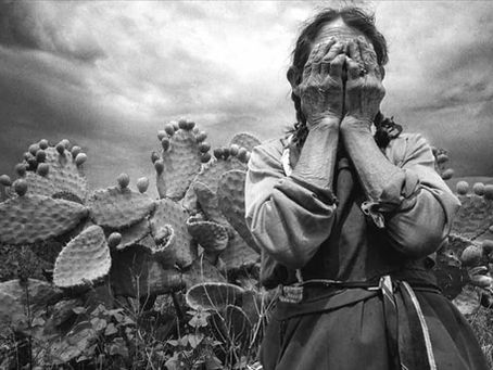 La nopalera y el viento / Alude al Alud