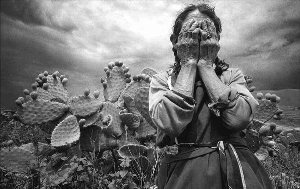 Graciela Iturbide (1972) La nopalera. Serie Naturata