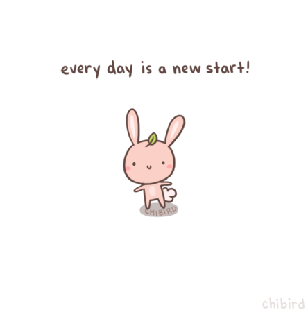 🐰