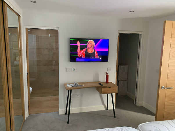 Wall mounted flat screen TV