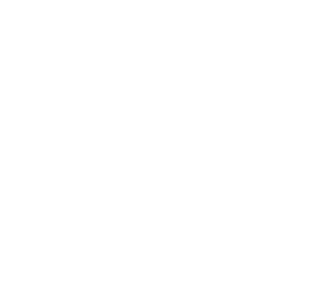 40 years experience