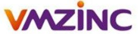 VMZING Logo