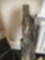 Plank of wood effected by wet rot