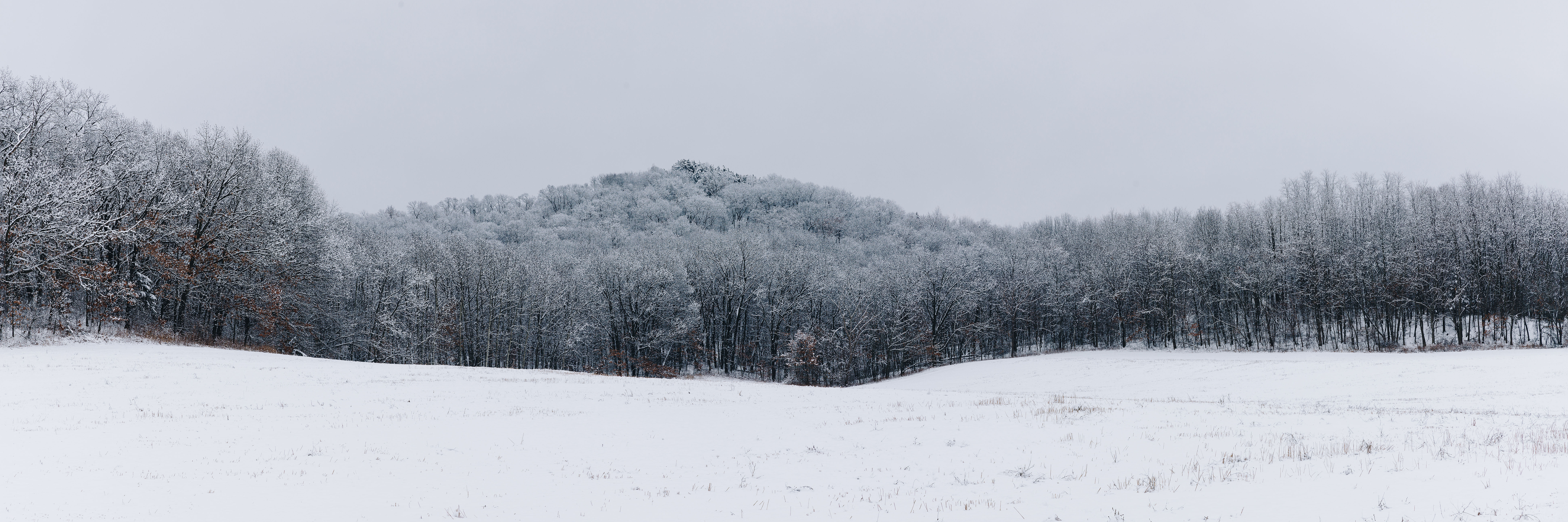 Driftless Wisconsin Pano 12x36"