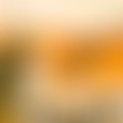 קול קורא תרומזון