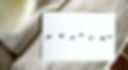 Vögel_Banner.jpg