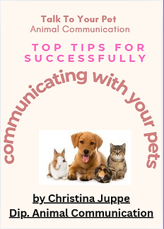 Guide first page.PNG