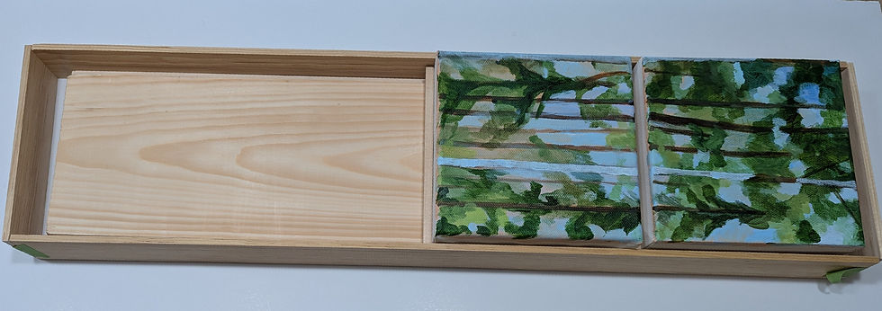 First two canvases placed, with balsa wood spacers between.  The spacers are floating, and can be turned on a short side or a long side to accommodate different lengths of canvas.