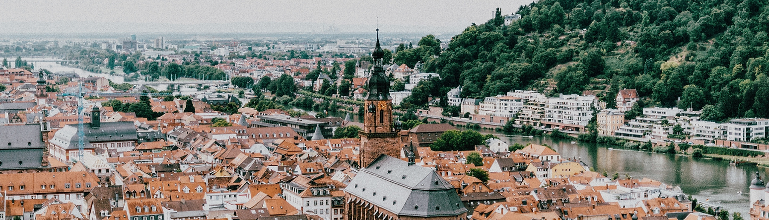 City View_edited.png