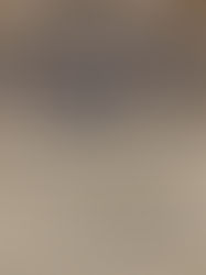 辻常陸14代15代展示会