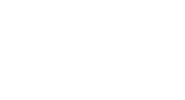 logoBranca (1).png