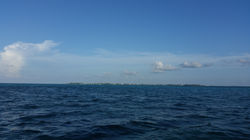 Grand Caymnan Island desde el barco