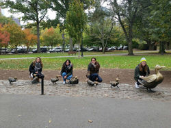 Mamá pato y los pasitos