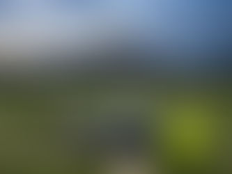 Padel is landing in the Pacific Northwest