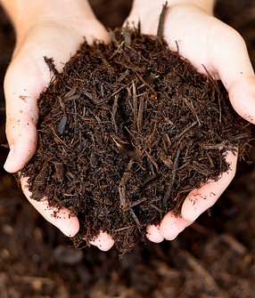 mulch3.jpg