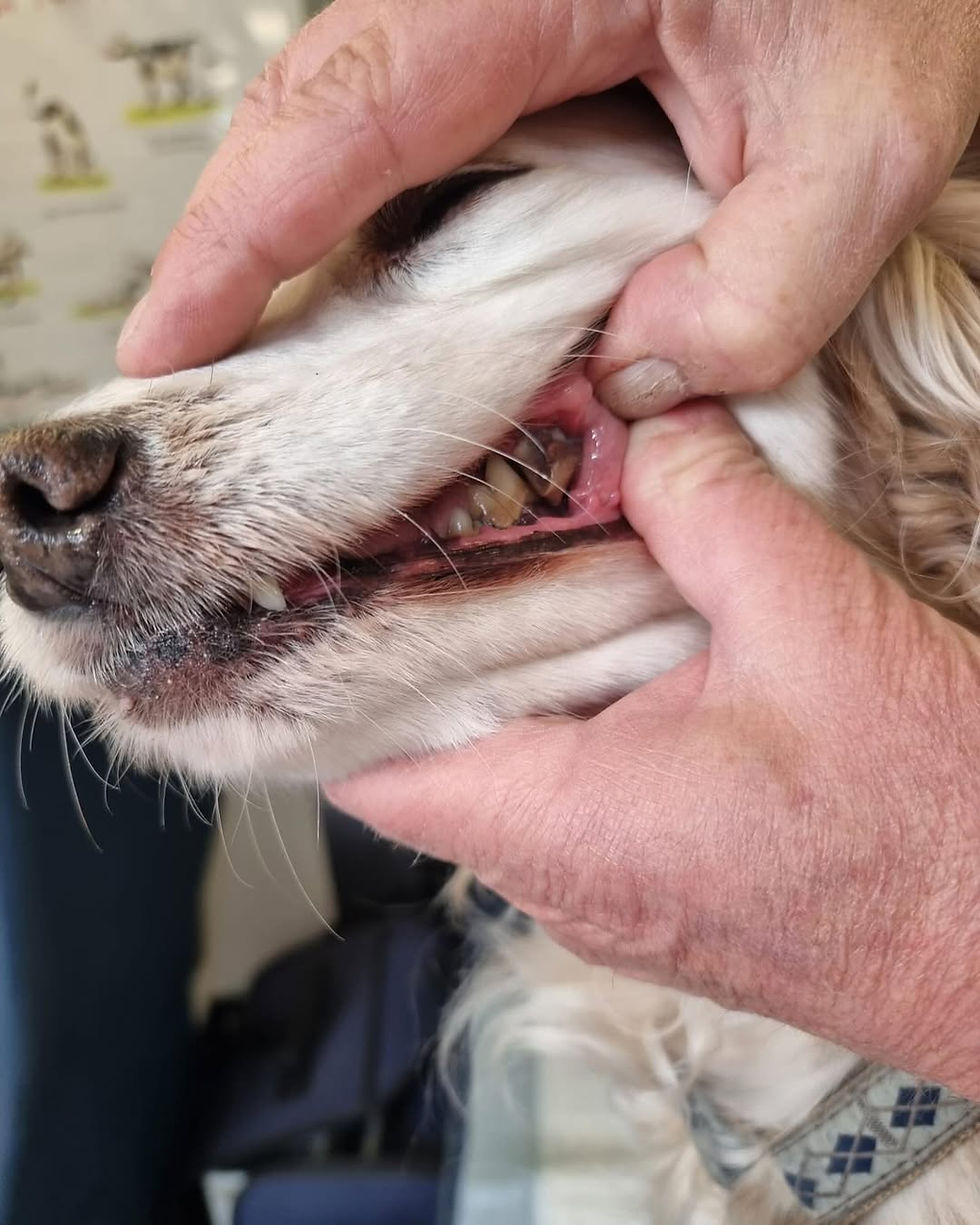 Tour News Schwerin-Der Beginn des Einsatzes heute, wurde ständig durch Erdarbeiten und die