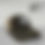 Thumbnail: MS MasterTech Hat - Styles 11-17