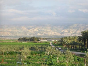 'Arab al-'Arida