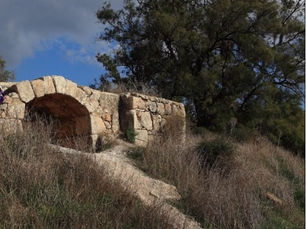 Dayr al-Dubban