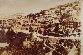 عين الزيتون