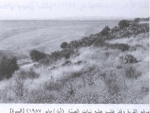 al-Bira