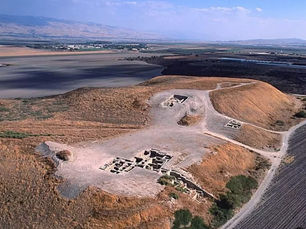 Farwana