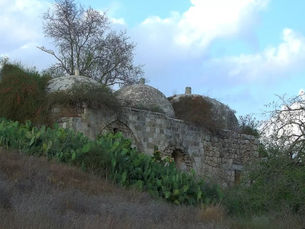 بشيت