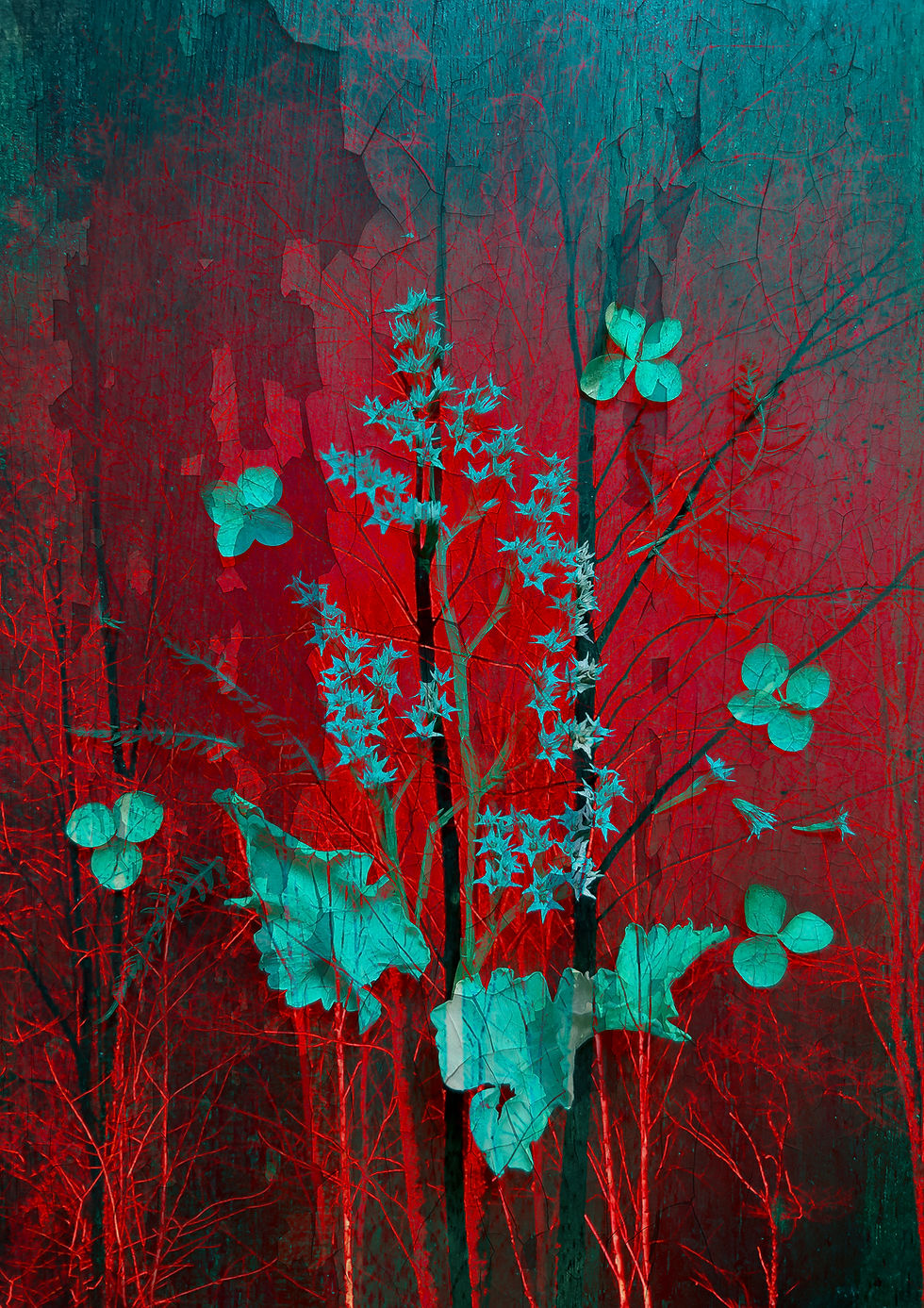 Thumbnail: Vibrant sea holly plant in an aqua colour on an red abstract background art print
