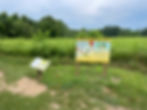 A panel featuring the cover of the children's book, "Miss Maple's Seeds," sits next to another panel featuring a section of the book in a green field