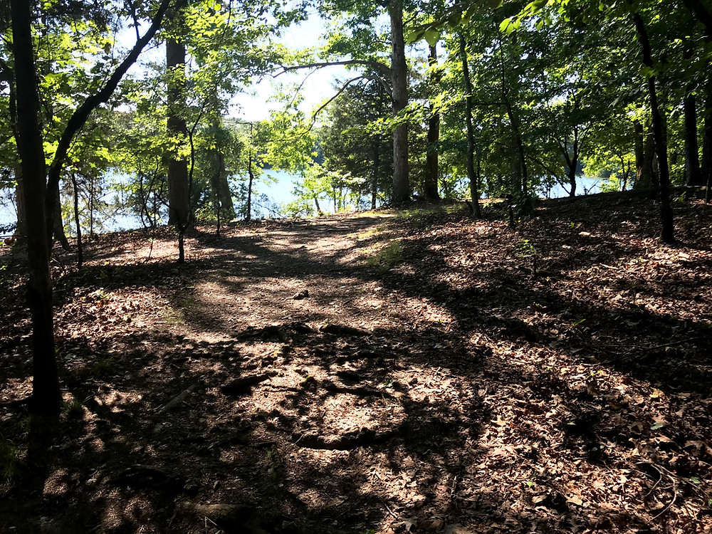 A view of the Point Trail and the lake in Harrison Bay State Park
