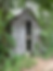 The remains of a wooden cabin are surrounded by trees in Big Cypress Tree State Park in Tennessee