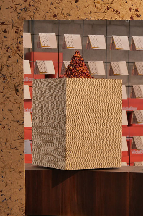VidaSpace Natalia Glucina Exhibit Art Installation