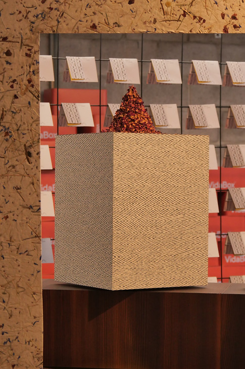 VidaSpace Natalia Glucina Exhibit Art Installation