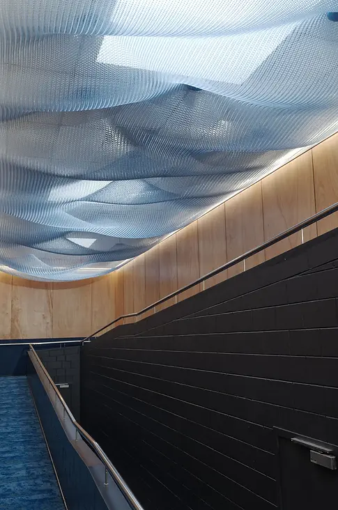 Commercial office feature ceiling and plywood walls