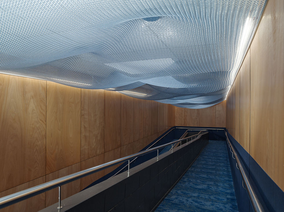Commercial office feature ceiling and plywood walls