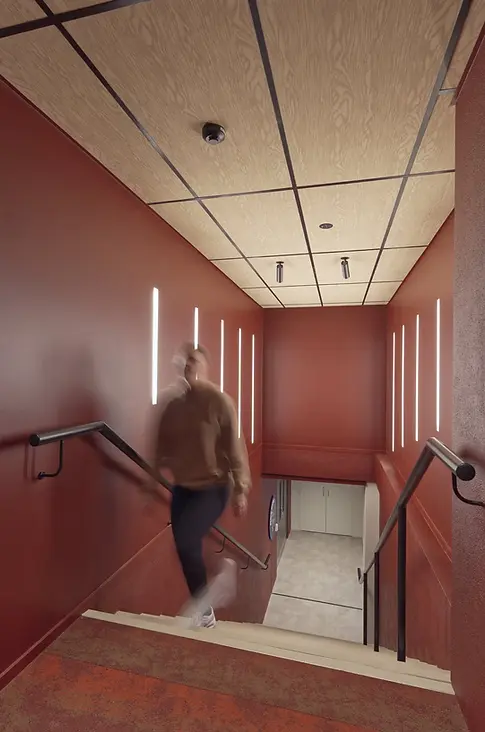 Red stairwell and timber ceiling panels in an office renovation