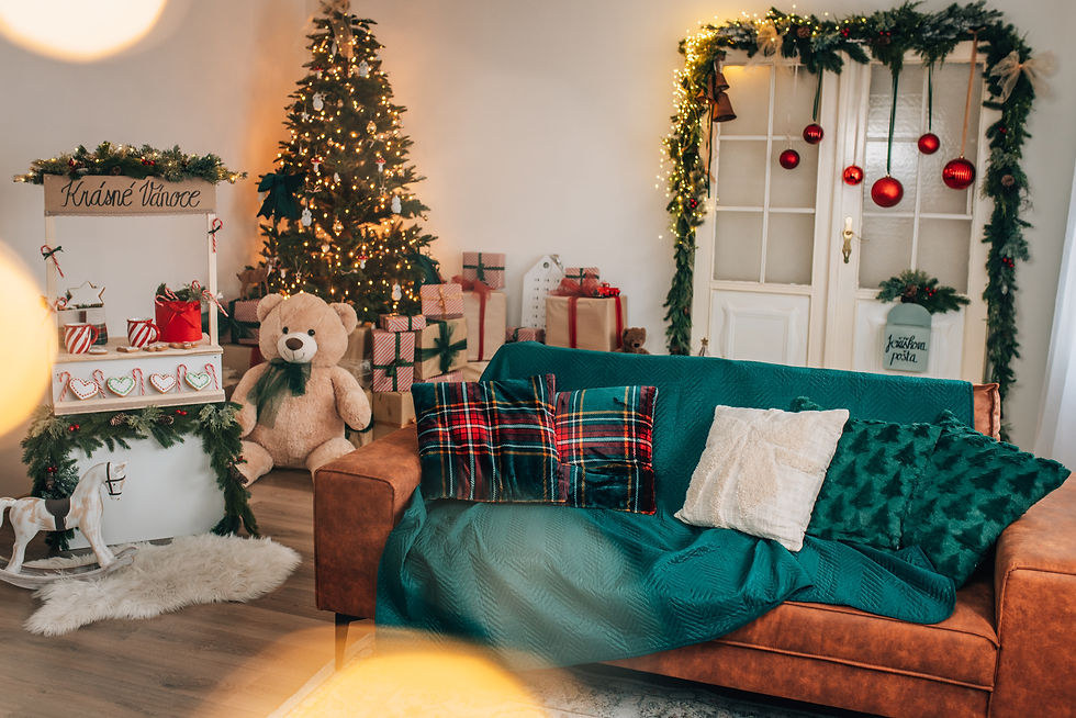 Vánoční focení ateliér Bučovice