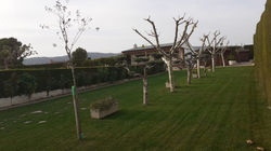 WhatsApp Image 2023-01-24 at 11.54.48