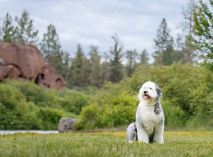 Gracie2022_002-3.jpg