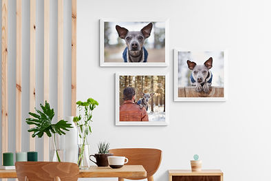 Scandinavian_dining_room.jpg