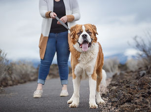 Archie_LR_March 2022 (5).jpg