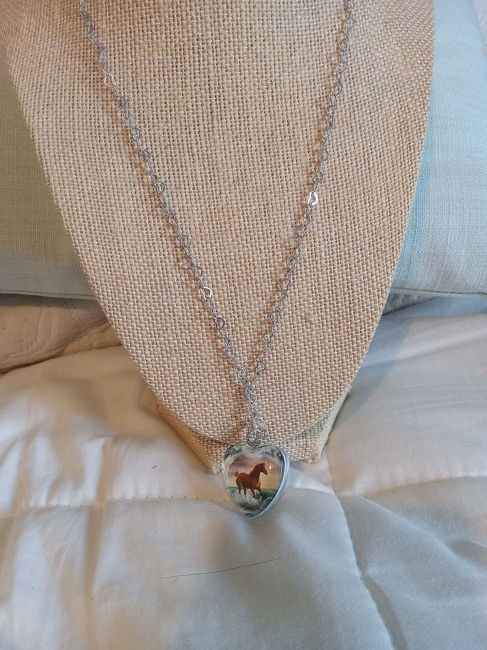 horse image behind the glass