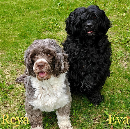 Reya and Eva