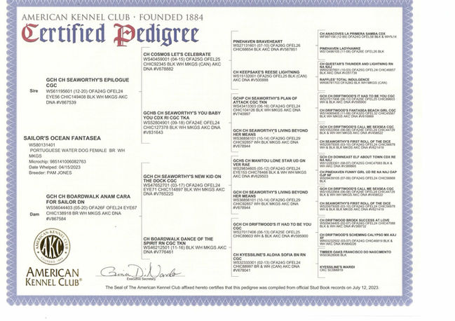 Reya - American Kennel Club Certified Pedigree
