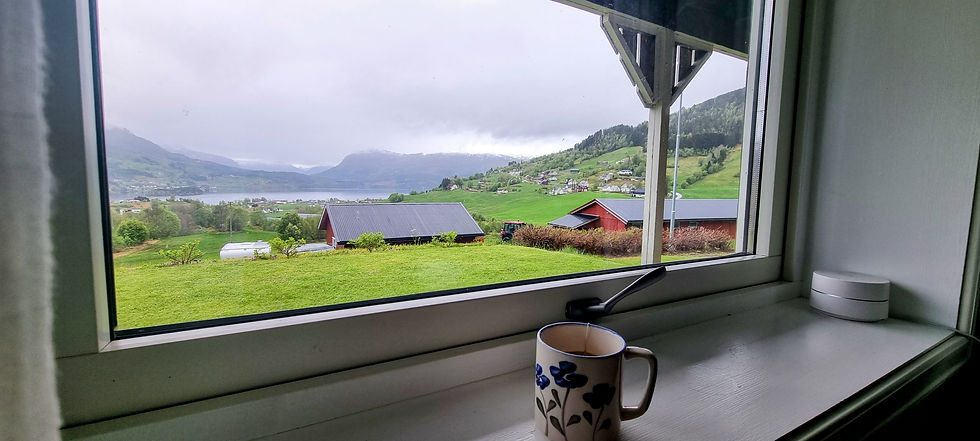 Views of Hafslo village from the dinning room window, great place for morning Tea/coffee, on a family road trip in Norway