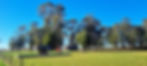 Family-friendly Airbnb with open layout for children to play in Railton, Tasmania