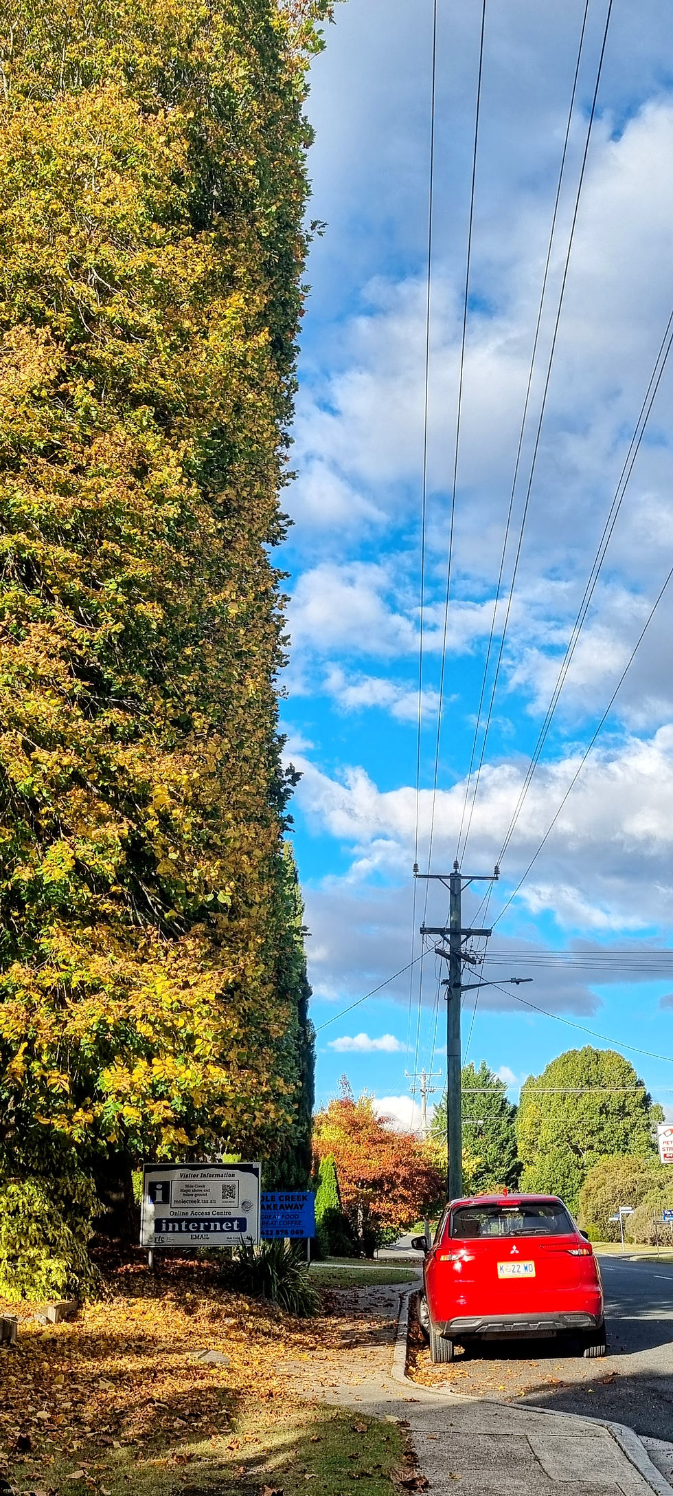 Mole creek - a quaint town to explore near Trowunna wildlife sanctuary