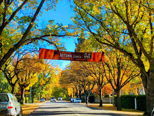 An awesome, autumn day in Arrow town with kids.